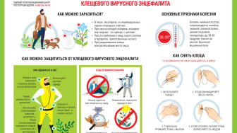 Профилактика клещевого энцефалита.